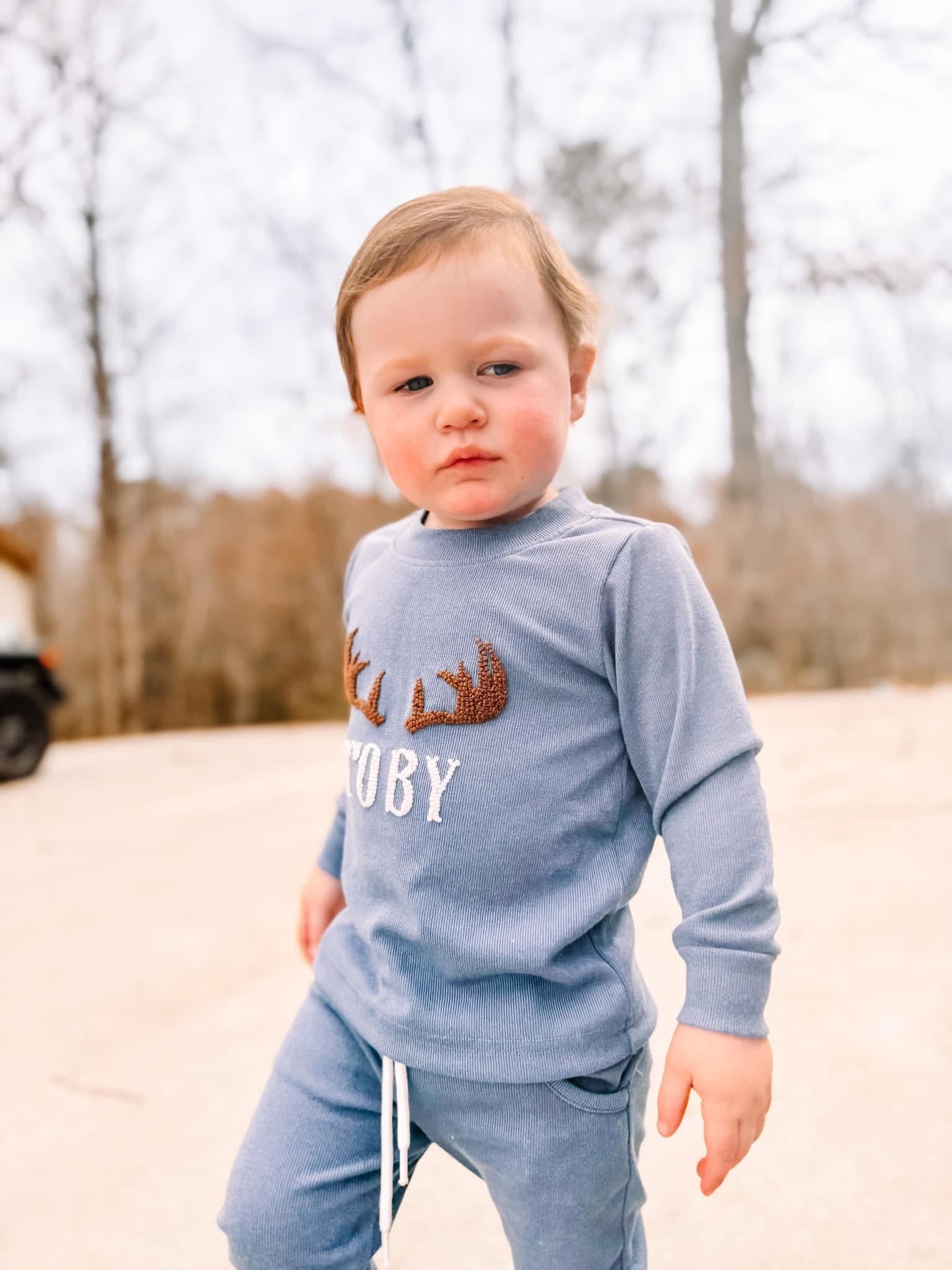 PO31: SETS ANTLER SWEATER